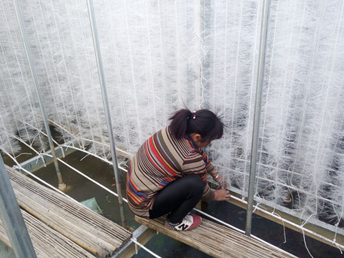 電池廠軟性填料安裝施工現(xiàn)場(chǎng)